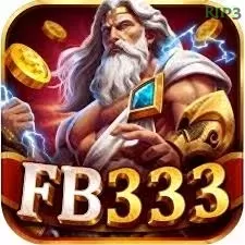 fb333